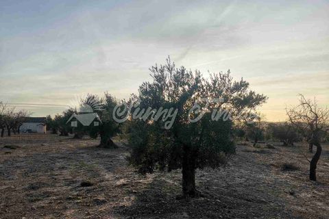 Grond in Biar, Alicante, Biar - € 65.000 | Ref: SF0442 - foto 12